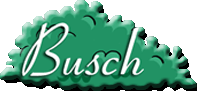 Busch Plastering and Stucco Logo